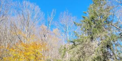 Kettle Creek Lodge & Cabins