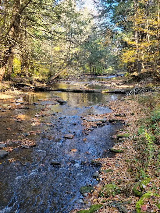 Kettle Creek Lodge & Cabins 4