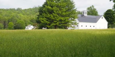 White Barn Farm
