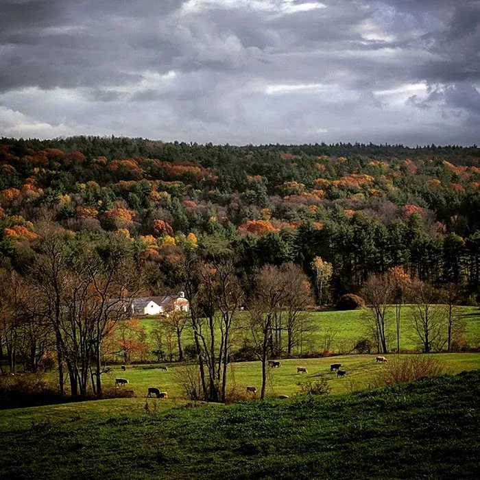 Sunnyside Farmhouse at the Inn at Valley Farms 3