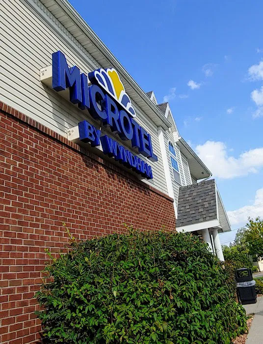 Microtel Inn & Suites by Wyndham Chili/Rochester Airport 4