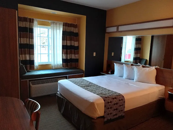 Microtel Inn & Suites by Wyndham Chili/Rochester Airport 4