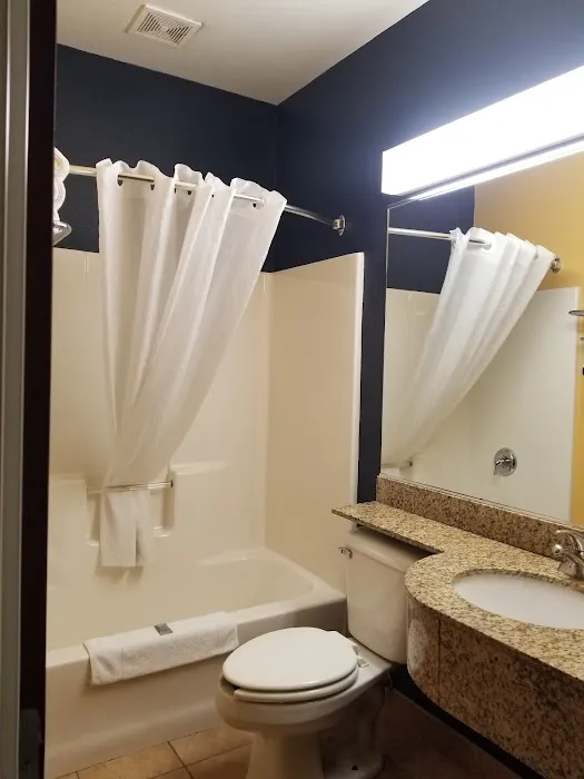 Microtel Inn & Suites by Wyndham Chili/Rochester Airport 4