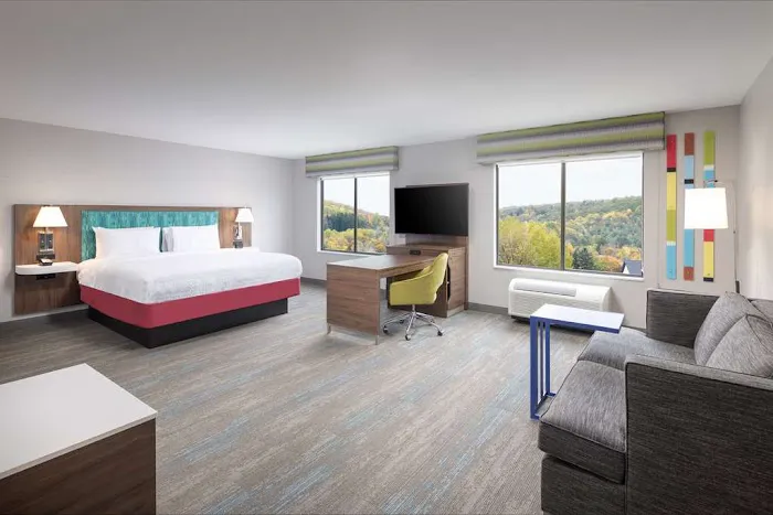 Hampton Inn Hornell 4