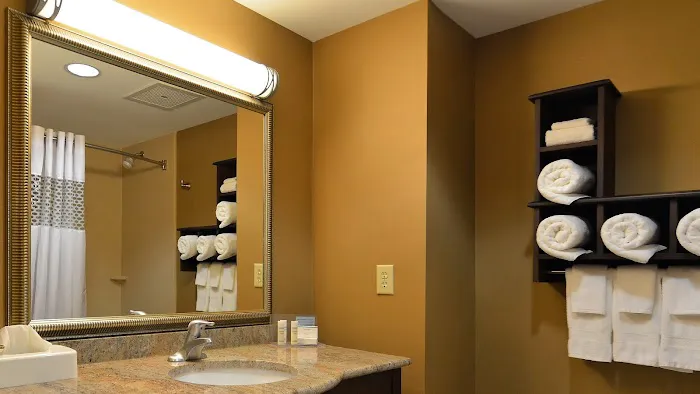Hampton Inn Geneseo 4