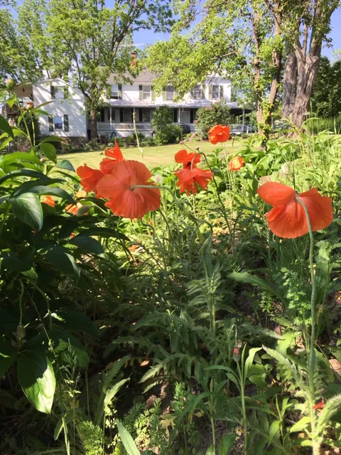 Cottage Views Bed & Breakfast 4