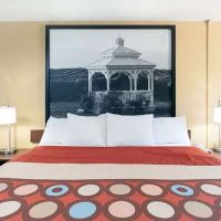 Super 8 by Wyndham Bath Hammondsport Area ico