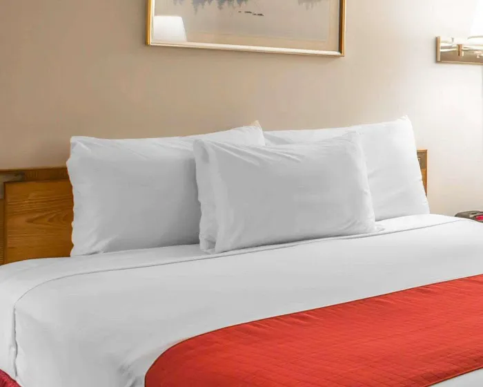Rodeway Inn 4