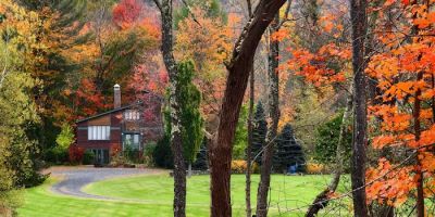 Wander Stowe Hollow
