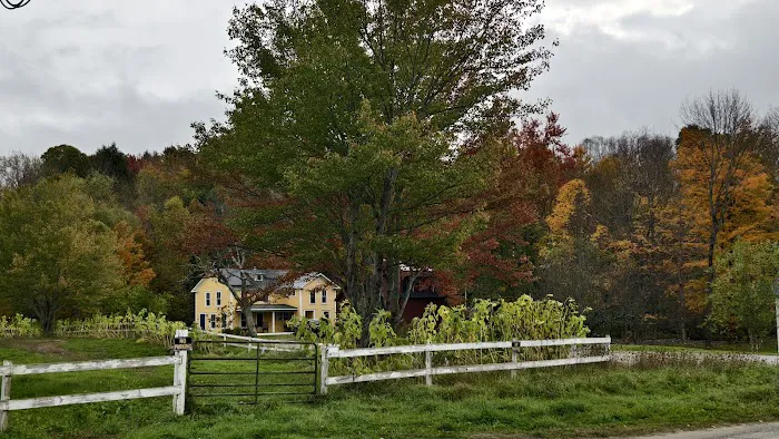Wander Stowe Hollow 4