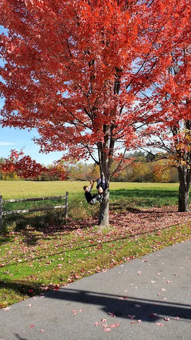 Village Green At Stowe 4