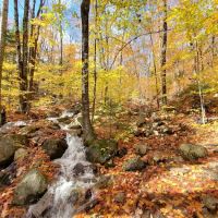 Deer Park Resort ico