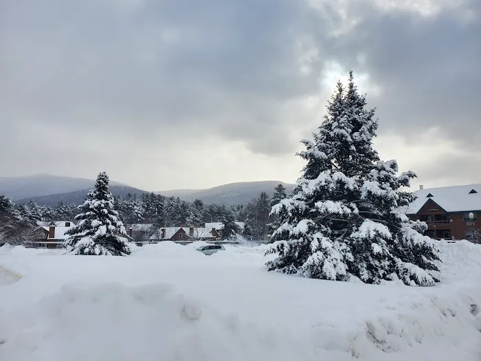 Deer Park Resort 5