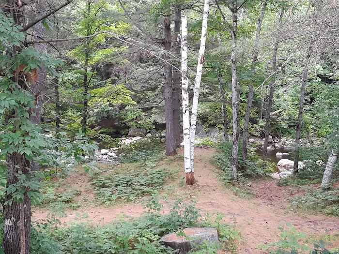 Deer Park Resort 5