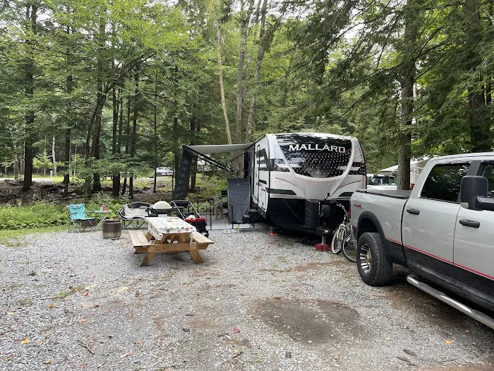 Saratoga Escape Lodges & RV Resort 4