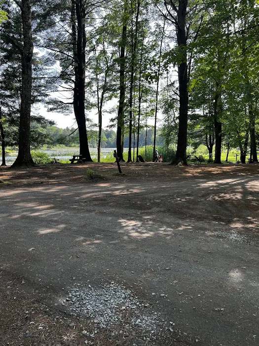 Saratoga Escape Lodges & RV Resort 4