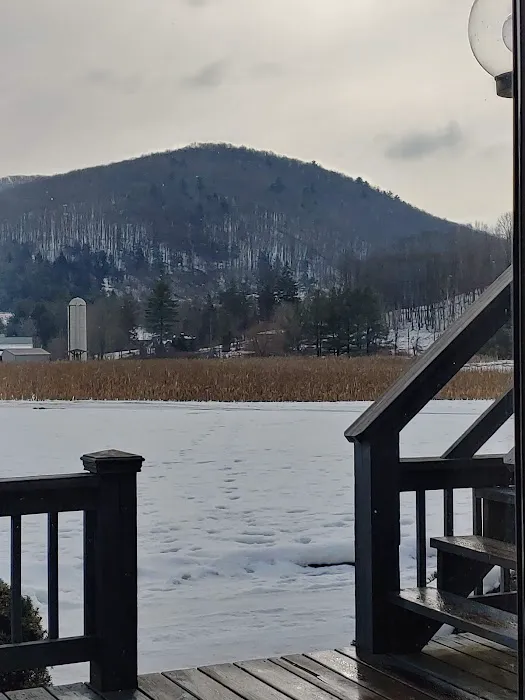 Joe & Maitland Sroba Vacation Rentals 4