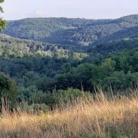 Joe & Maitland Sroba Vacation Rentals ico