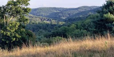 Joe & Maitland Sroba Vacation Rentals