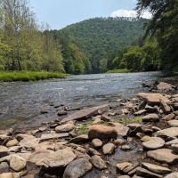 Pine Creek Lodge ico