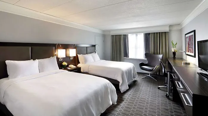 Hilton Mystic 5