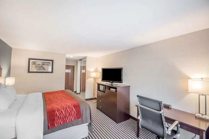 Quality Inn 4
