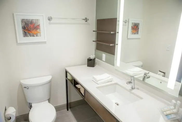 Hilton Garden Inn Corning Downtown 4