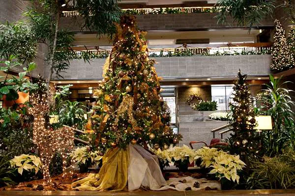 Radisson Hotel Corning 4