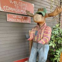 The Common Man Inn & Spa ico