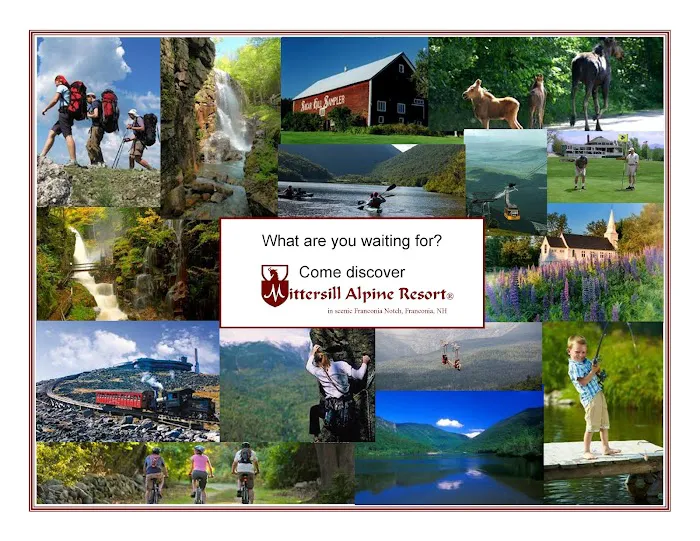 Mittersill Alpine Resort 4