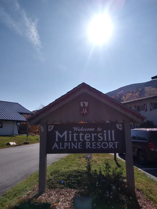 Mittersill Alpine Resort 4
