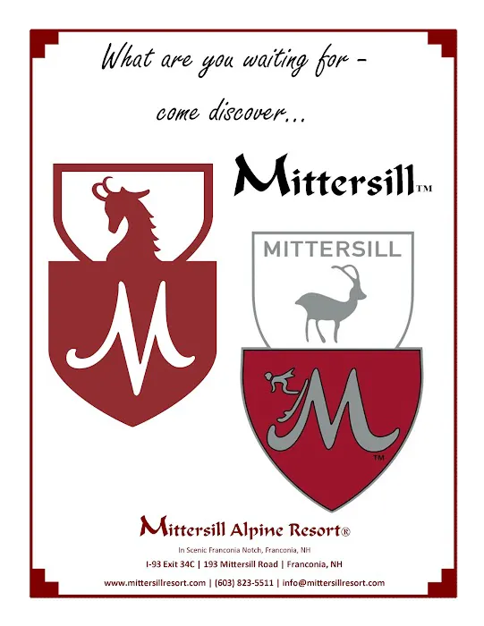 Mittersill Alpine Resort 4