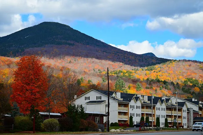 Nordic Inn Condominium Resort 5