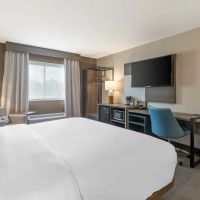 Comfort Inn & Suites Saratoga Springs ico
