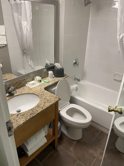 Holiday Inn Saratoga Springs, an IHG Hotel 4