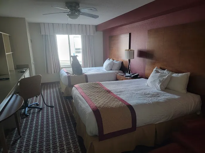 Liberty Lodge 4