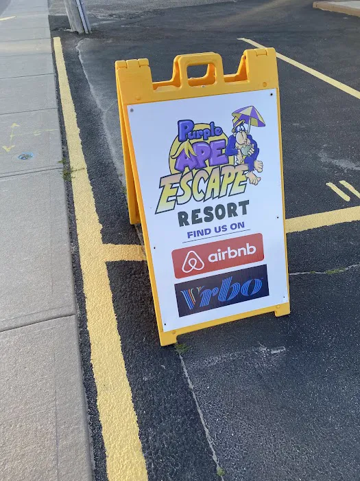 The Purple Ape Escape Resort 5