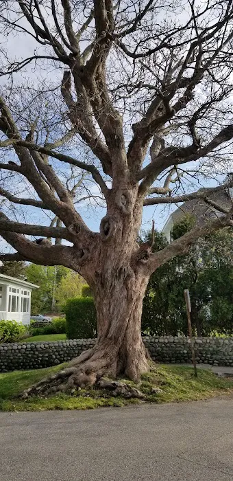 Watch Hill Court 5