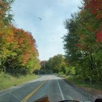 Byrncliff Maple Lodge ico