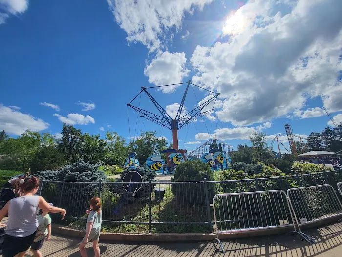 Six flags 4
