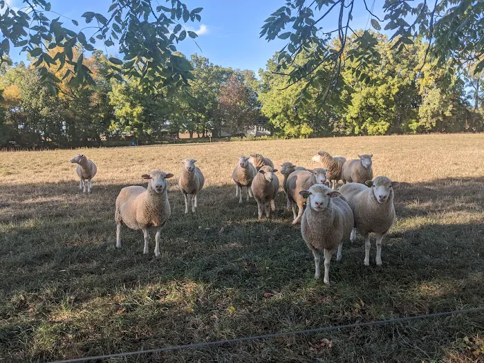 The Restful Ewe Bed and Breakfast 4