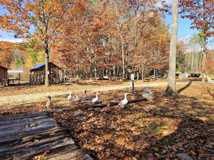 Lighthouse Inn the Woods 4