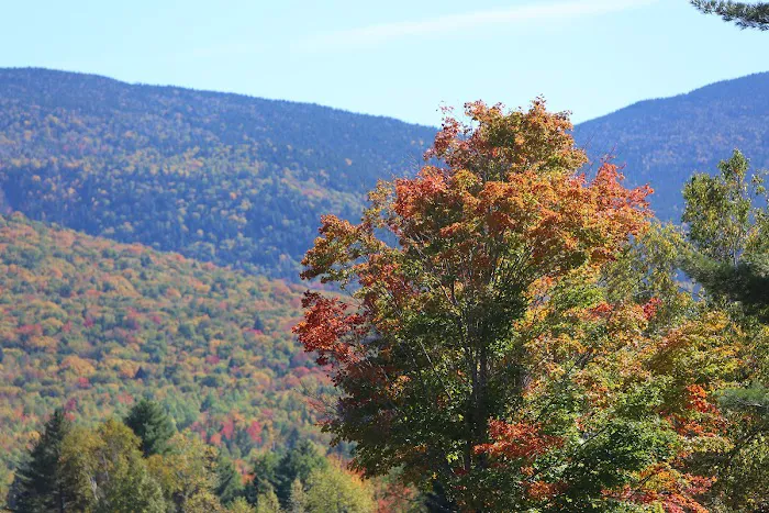 Black Bear Lodge - Waterville Valley, NH, White Mountains, NH 4