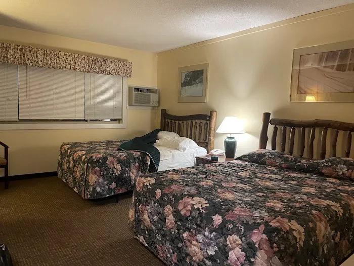 Snowy Owl Inn 4