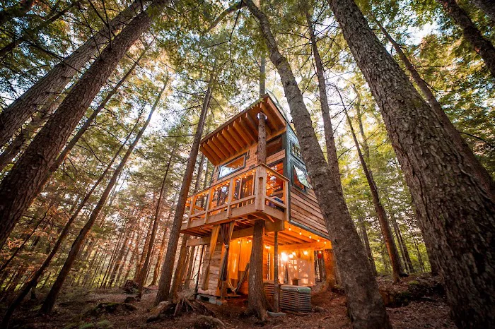Stone City Treehouse 4