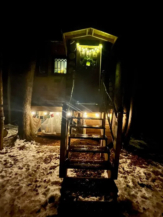 Stone City Treehouse 4
