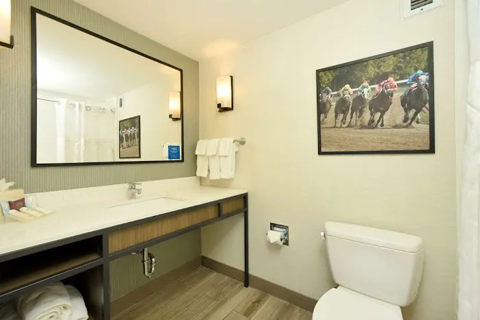Hilton Garden Inn Saratoga Springs 4