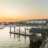 Newport Marriott Hotel & Spa ico