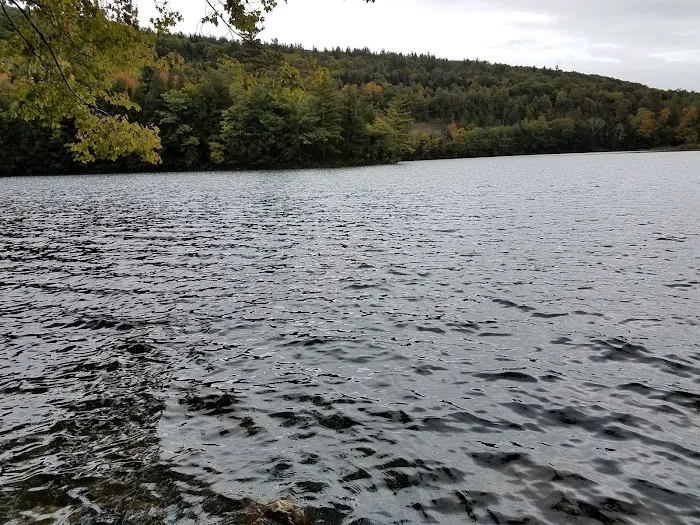 Marbledge Cabins 5