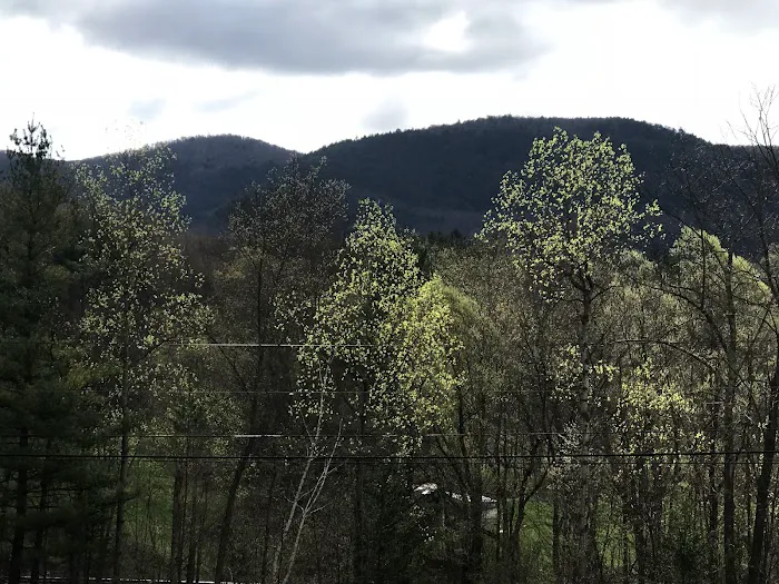 Marbledge Cabins 5